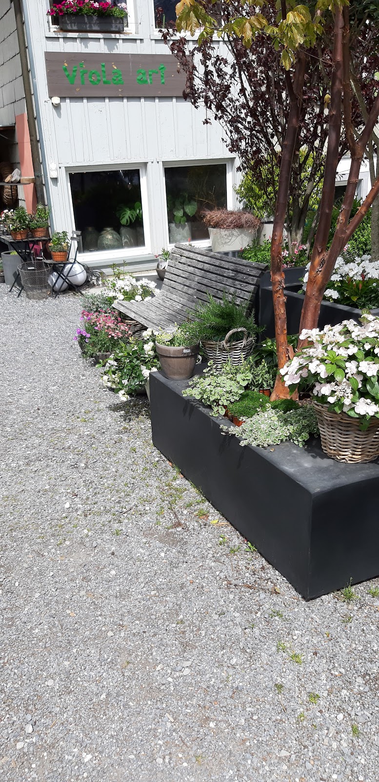 Aussenbereich mit Pflanzarrangements bei Viola Art